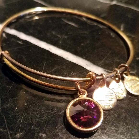 Alex and Ani February Birthstone AMETHYST Rafaelia - Picture 2 of 7